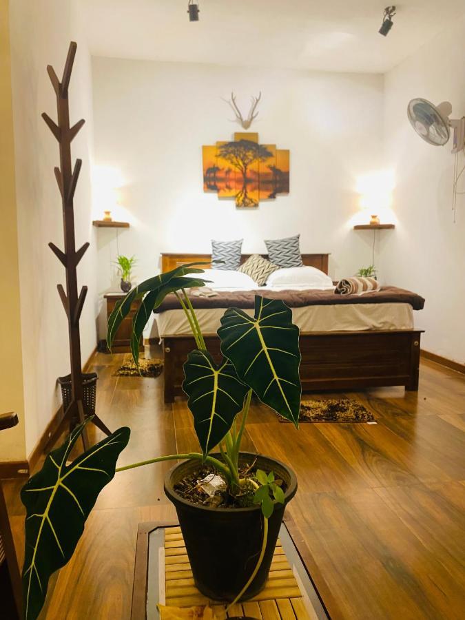 The Kingdom Of Ella Apartamento Exterior foto